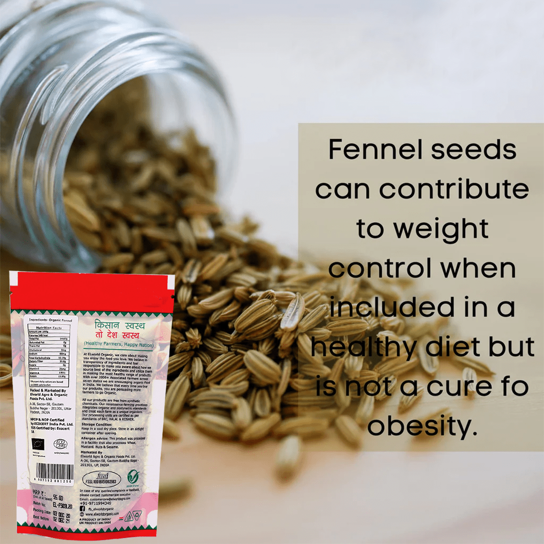 Elworld Agro & Organic Food Products Fennel Seeds 100 g - Elworld Organic