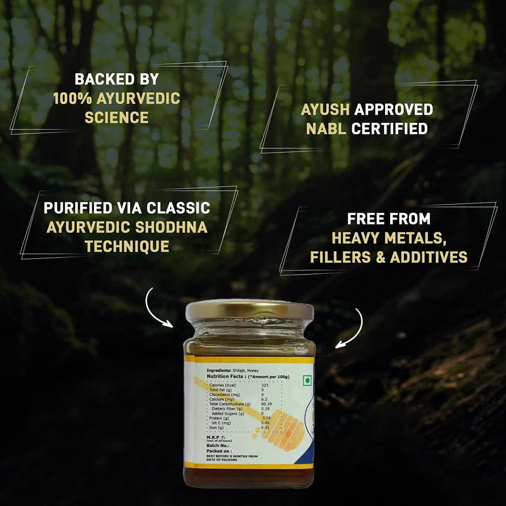 Elworld Agro & Organic Food Products Shilajit Honey - 300 GRM