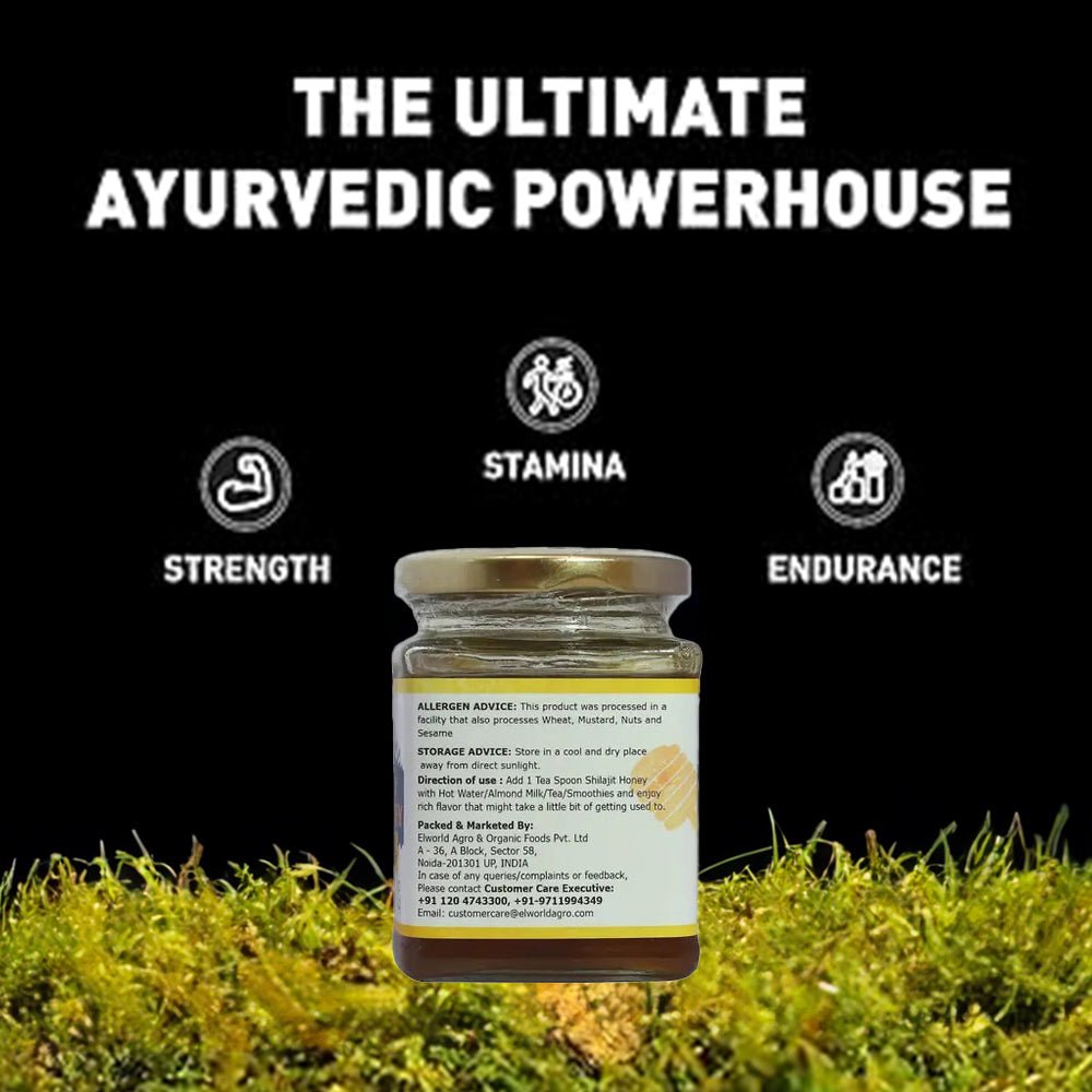 Elworld Agro & Organic Food Products Shilajit Honey - 300 GRM - Elworld Organic