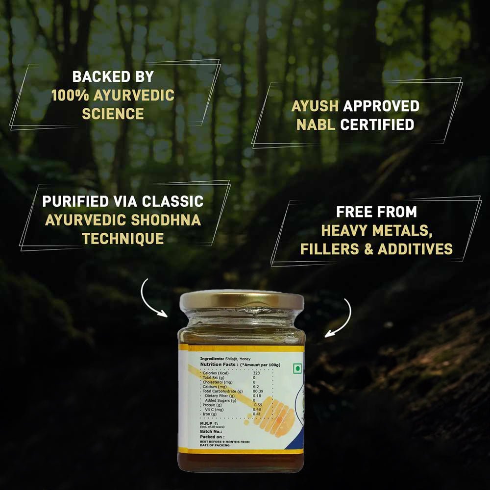 Elworld Agro & Organic Food Products Shilajit Honey - 300 GRM - Elworld Organic