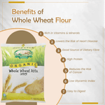Elworld Agro & Organic Food Products Whole Wheat Flour - Elworld Organic