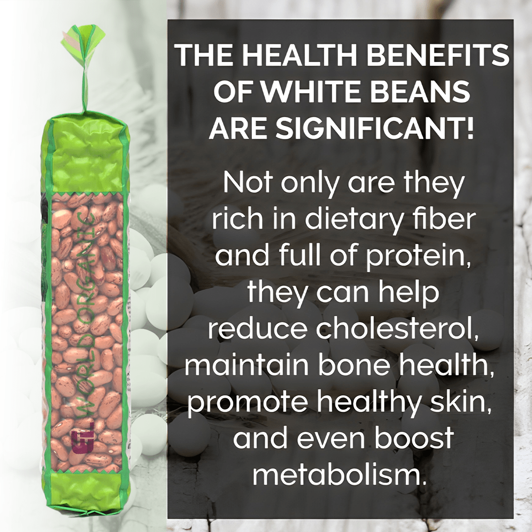 Elworld Organic White Kidney Beans (Rajma Chitra) - Elworld Organic